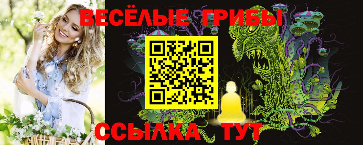 Кореновск  Псилоцибиновые грибы Cubensis  Вход с VPN 