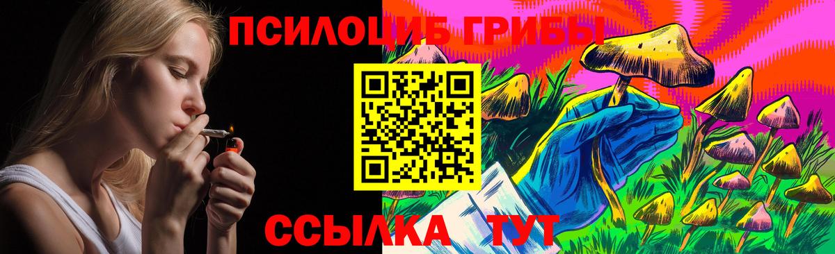 Псилоцибиновые грибы Cubensis Кореновск